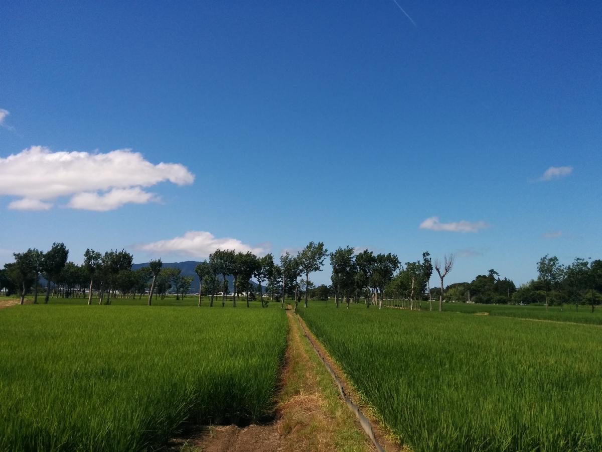 Iwamuro Slow Hostel Niigata Eksteriør billede