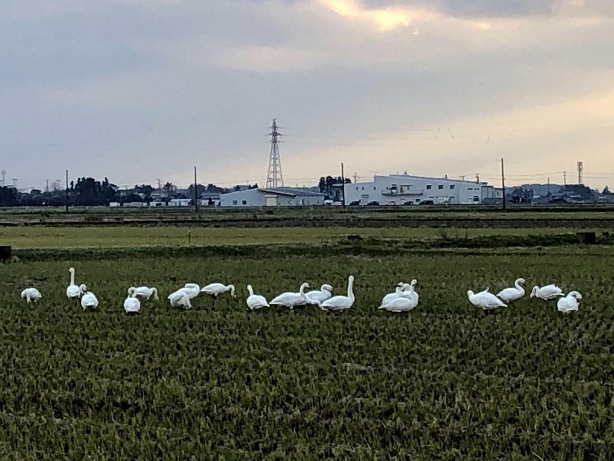 Iwamuro Slow Hostel Niigata Eksteriør billede